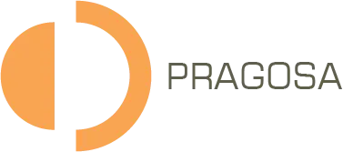 PRAGOSA_GRUPO_horizontal_cores